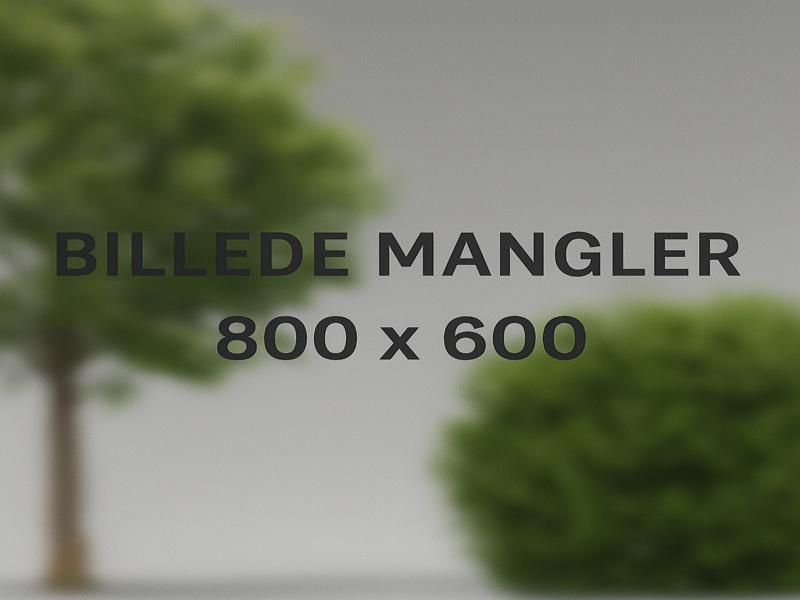 justeret_billede