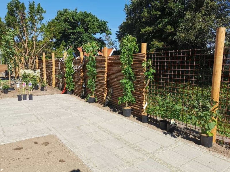 trae-og-busk-pergola-espalier-7